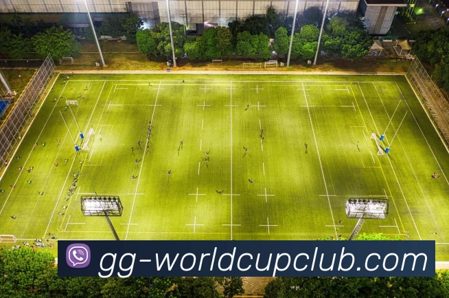 多媒体互动体验